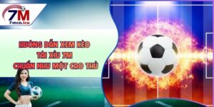Hướng Dẫn Xem Kèo Tài Xỉu 7M Chuẩn Như Một Cao Thủ