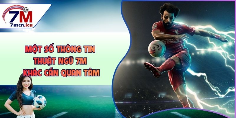 Một số thông tin thuật ngữ 7M khác cần quan tâm